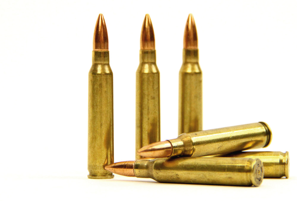 6 Dummy Trainer NATO 5.56x45 and .223 Remington Ammo Rounds AK-47