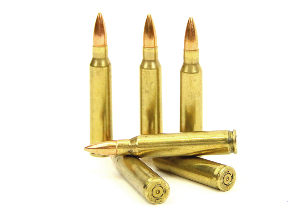 6 Dummy Trainer NATO 5.56x45 and .223 Remington Ammo Rounds - $9.95 : Cool  F/X, stuff that's too cool