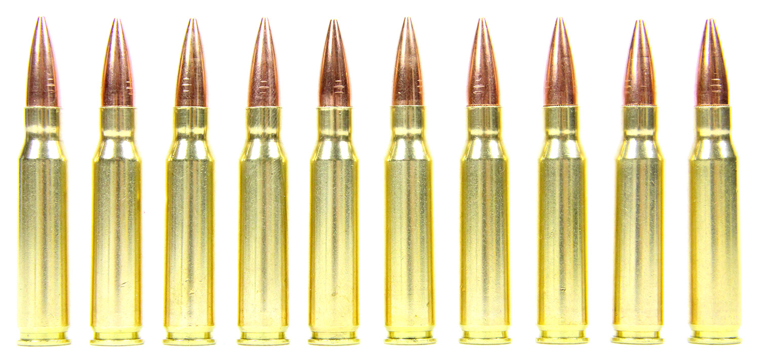 10 Dummy Trainer NATO 7.62x51 and .308 Winchester Ammo Rounds (image for) 10 Dummy Trainer NATO 7.62x51 and .308 Winchester Ammo Rounds